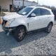3GYFNGEY8BS514784 2011 Cadillac Srx Standard auction photo thumbnail 2