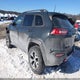 1C4PJMBX0JD602274 2018 Jeep Cherokee Trailhawk 4X4 auction photo thumbnail 3