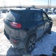 1C4PJMBX0JD602274 2018 Jeep Cherokee Trailhawk 4X4 auction photo thumbnail 4