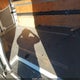 WD3PE7CC5B5585446 2011 Mercedes-Benz Sprinter 2500 Normal Roof auction photo thumbnail 20
