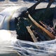 5N1AR2MM3EC688824 2014 Nissan Pathfinder Platinum auction photo thumbnail 12