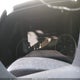 1FTEW1CP6GKD79961 2016 Ford F-150 Xlt auction photo thumbnail 7