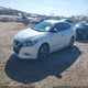 1N4AA6AP3HC384968 2017 Nissan Maxima 3.5 Sv auction photo thumbnail 2