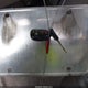 1GNSCBE04DR271592 2013 Chevrolet Tahoe Lt auction photo thumbnail 11