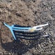 3GNAXKEG6RL347907 2024 Chevrolet Equinox Fwd Lt auction photo thumbnail 12