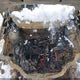 1FMCU9GX5DUA54056 2013 Ford Escape Se auction photo thumbnail 10
