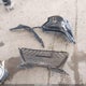 4T1NZ1AK1LU038959 2020 Toyota Camry Trd auction photo thumbnail 12