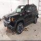 ZACCJBCB0HPF85946 2017 Jeep Renegade Trailhawk 4X4 auction photo thumbnail 2