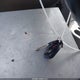 3GNEC16T24G212718 2004 Chevrolet Suburban 1500 Ls auction photo thumbnail 11
