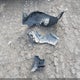 1N6AD0ER7KN770876 2019 Nissan Frontier Sv auction photo thumbnail 12