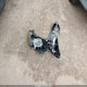 1G1BH5SE9H7236536 2017 Chevrolet Cruze Lt Auto auction photo thumbnail 12
