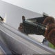 5YFBURHEXGP474586 2016 Toyota Corolla Le Plus auction photo thumbnail 9