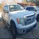 1FTFW1ET7DFB87533 2013 Ford F-150 Xlt auction photo thumbnail 1