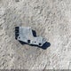 4T1B11HK8KU198027 2019 Toyota Camry Se auction photo thumbnail 12