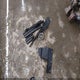 2GNFLGE37F6169808 2015 Chevrolet Equinox 2Lt auction photo thumbnail 12