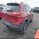 1C4PJMBS7HW538334 2017 Jeep Cherokee Trailhawk 4X4 auction photo thumbnail 4