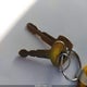 1FTEF25N5GKA63663 1986 Ford F250 auction photo thumbnail 11
