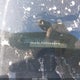 JN8AE2KP9B9003560 2011 Nissan Quest S auction photo thumbnail 9