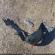 5NMZUDLBXHH044891 2017 Hyundai Santa Fe Sport 2.4L auction photo thumbnail 12