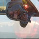 5YJ3E1EA0PF542183 2023 Tesla Model 3 Rear-Wheel Drive auction photo thumbnail 19