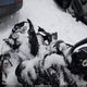 2BPSMXPH9PV000054 2023 Ski-Doo Mx Zx Xrs auction photo thumbnail 7