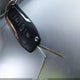 1FAHP3M27CL453665 2012 Ford Focus Sel auction photo thumbnail 11