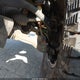 3TMMU4FNXDM054487 2013 Toyota Tacoma Base V6 auction photo thumbnail 18