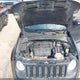 ZACCJBBT1GPD58810 2016 Jeep Renegade Justice auction photo thumbnail 10