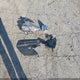 1FTER4EHXMLD76596 2021 Ford Ranger Xlt auction photo thumbnail 12