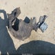 5NPE24AF5HH516508 2017 Hyundai Sonata auction photo thumbnail 12