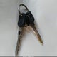 2G4WSS2J441287503 2004 Buick Century auction photo thumbnail 11