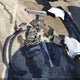 5UXCR6C01P9R88847 2023 BMW X5 xDrive40I auction photo thumbnail 12