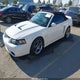 1FAFP49Y84F199149 2004 Ford Mustang Cobra auction photo thumbnail 2