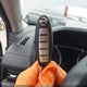 3N1AB8CV9MY237511 2021 Nissan Sentra Sv Xtronic Cvt auction photo thumbnail 11
