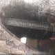 2T3ZF4DV7BW060469 2011 Toyota Rav4 auction photo thumbnail 17