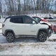 3C4NJDCB0HT666684 2017 Jeep New Compass Limited 4X4 auction photo thumbnail 13