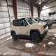 ZACCJBCB1HPE98461 2017 Jeep Renegade Deserthawk 4X4 auction photo thumbnail 12