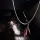 JF1GPAA64EH337384 2014 Subaru Impreza 2.0I auction photo thumbnail 11