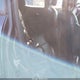 ZACCJBBT9GPD13033 2016 Jeep Renegade Justice auction photo thumbnail 8