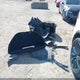 5YJXCBE24LF231419 2020 Tesla Model X Long Range Dual Motor All-Wheel Drive/Long Range Plus Dual Motor All-Wheel Drive auction photo thumbnail 12