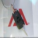 1G1PA5SG1F7235809 2015 Chevrolet Cruze Ls Auto auction photo thumbnail 11