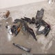 KL8CB6SA1KC802230 2019 Chevrolet Spark Ls Cvt auction photo thumbnail 12