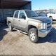 3GCPKSE7XDG208463 2013 Chevrolet Silverado 1500 Lt auction photo thumbnail 1