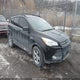 1FMCU0GX1DUB22543 2013 Ford Escape Se auction photo thumbnail 1