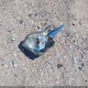 1GNKREED0BJ296651 2011 Chevrolet Traverse Ls auction photo thumbnail 12
