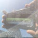 1C4RJEBG8FC634935 2015 Jeep Grand Cherokee Limited auction photo thumbnail 9