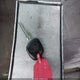 JTEZU14R830004646 2003 Toyota 4Runner Sr5 V6 auction photo thumbnail 11