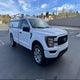 1FTMF1CB5PKE33086 2023 Ford F-150 Xl auction photo thumbnail 1