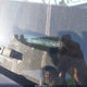 KMHD84LF1KU754615 2019 Hyundai Elantra Sel auction photo thumbnail 9