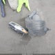 5NPE24AF0FH120158 2015 Hyundai Sonata Se auction photo thumbnail 12